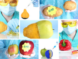 Genetic engineering laboratory. GMO food concept