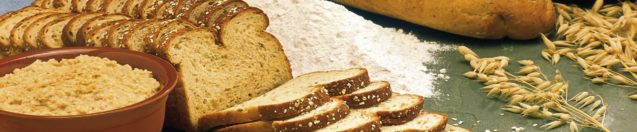 Fitness Myth Busting: Is Whole Wheat Bread Way Better Than Regular White Bread?