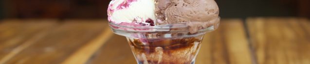 Sugar Free Sundays: Protein Rich Low-Calorie Ice Cream!